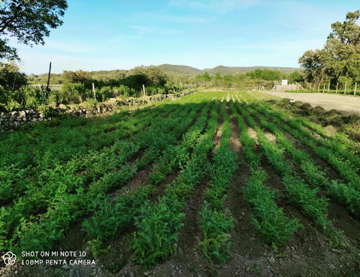 拉伊格莱苏埃拉Tu Casa De Pueblo别墅 外观 照片